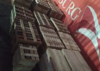 SHIPMENT PHOTOS (42)